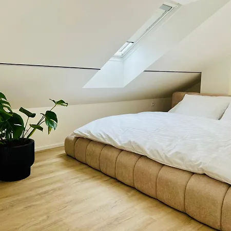 Apartament Palavske Original Pavlov