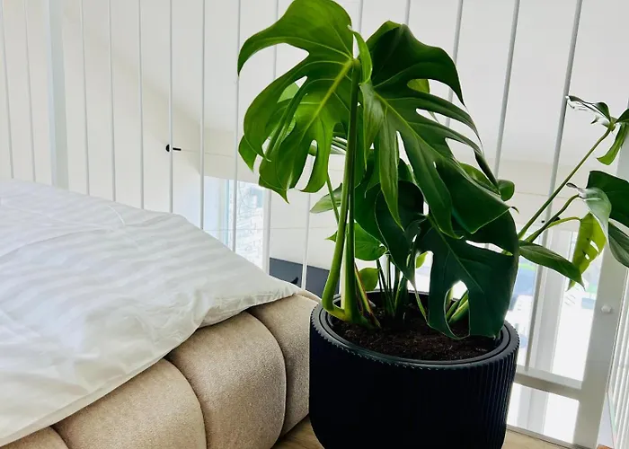 Apartmán Pálavské Original